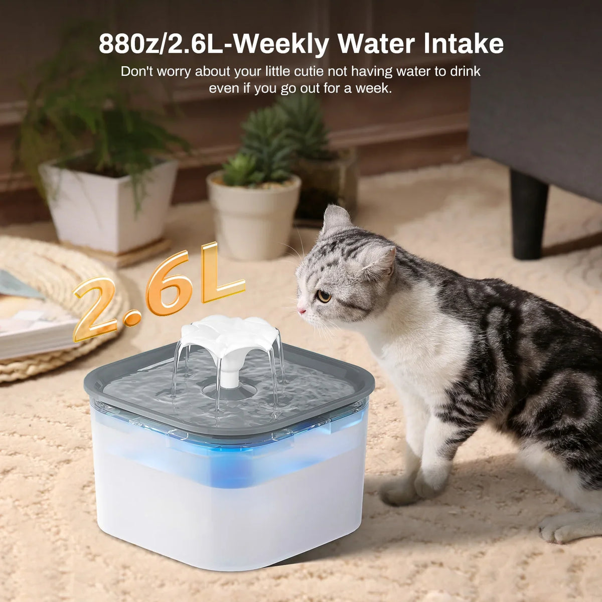 2.5L Silent Pet Water Fountain — Filtered Indoor Drinking Dispenser for Cats & Dogs