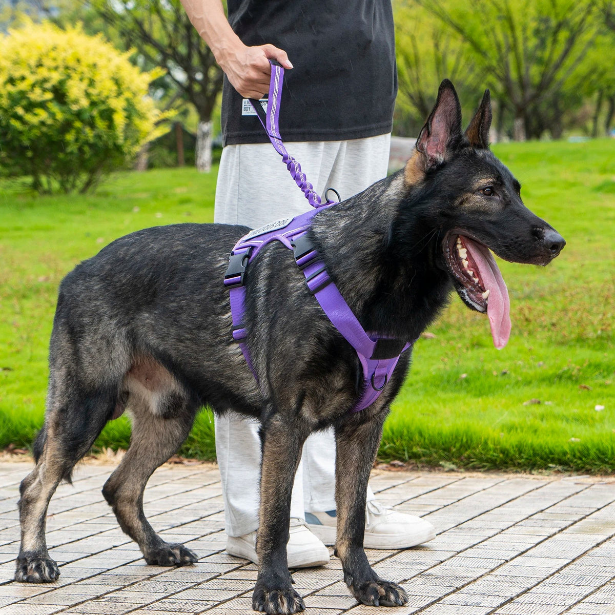 Reflective Emotional Support Dog Vest Harness with Handle & Lead — Easy On/Off for Large Dogs