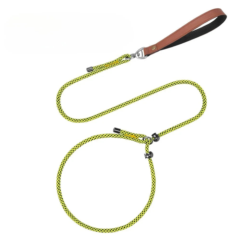 Anti-Tangle Adjustable P-Chain Slip Lead for Small Dogs