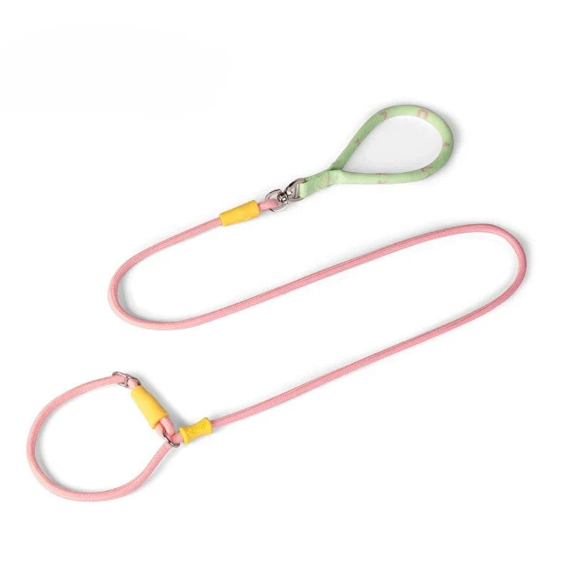 Nylon P-Chain Slip Lead & Collar for Small Dogs