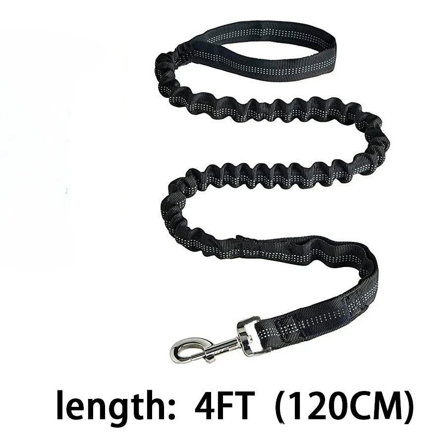 Elastic Shock Absorbing Dog Training Leash