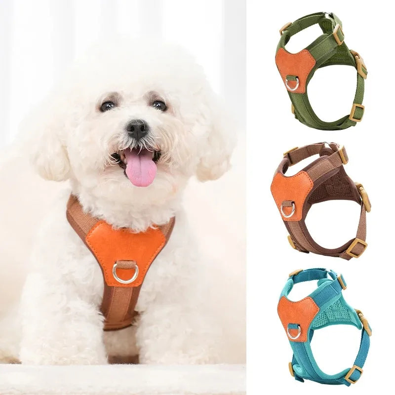 Multi-Pet Harness and Leash Set for Dogs and Cats