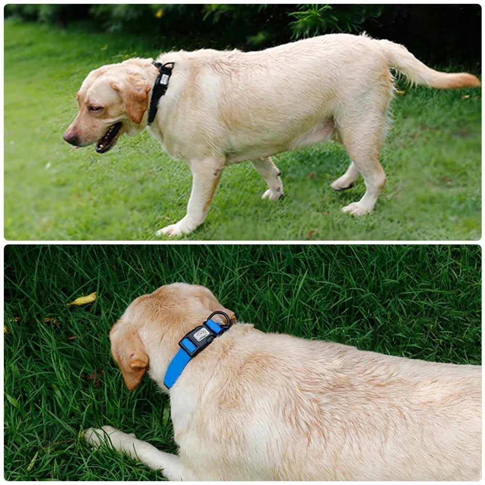 Waterproof Adjustable Pet Collar for Dogs & Cats