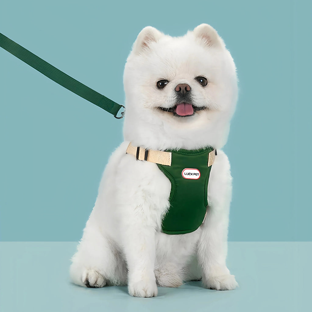 Breathable Vest Harness & Leash Set for Small Dogs