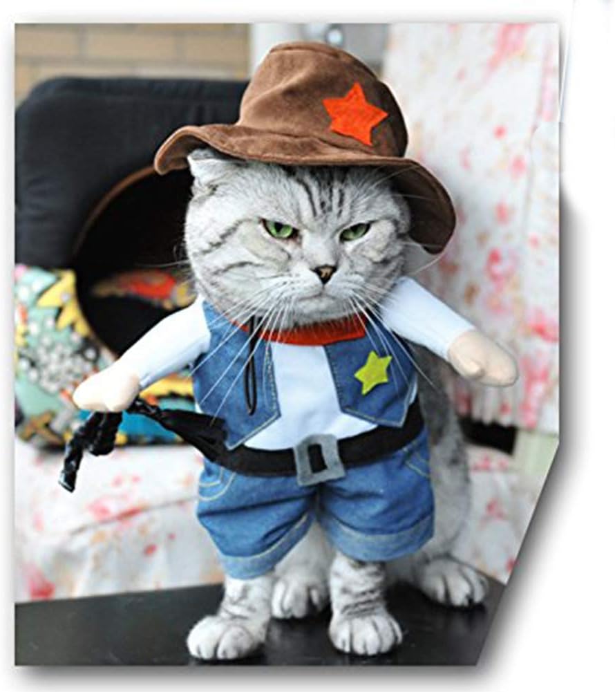 Western Cowboy Pet Costume