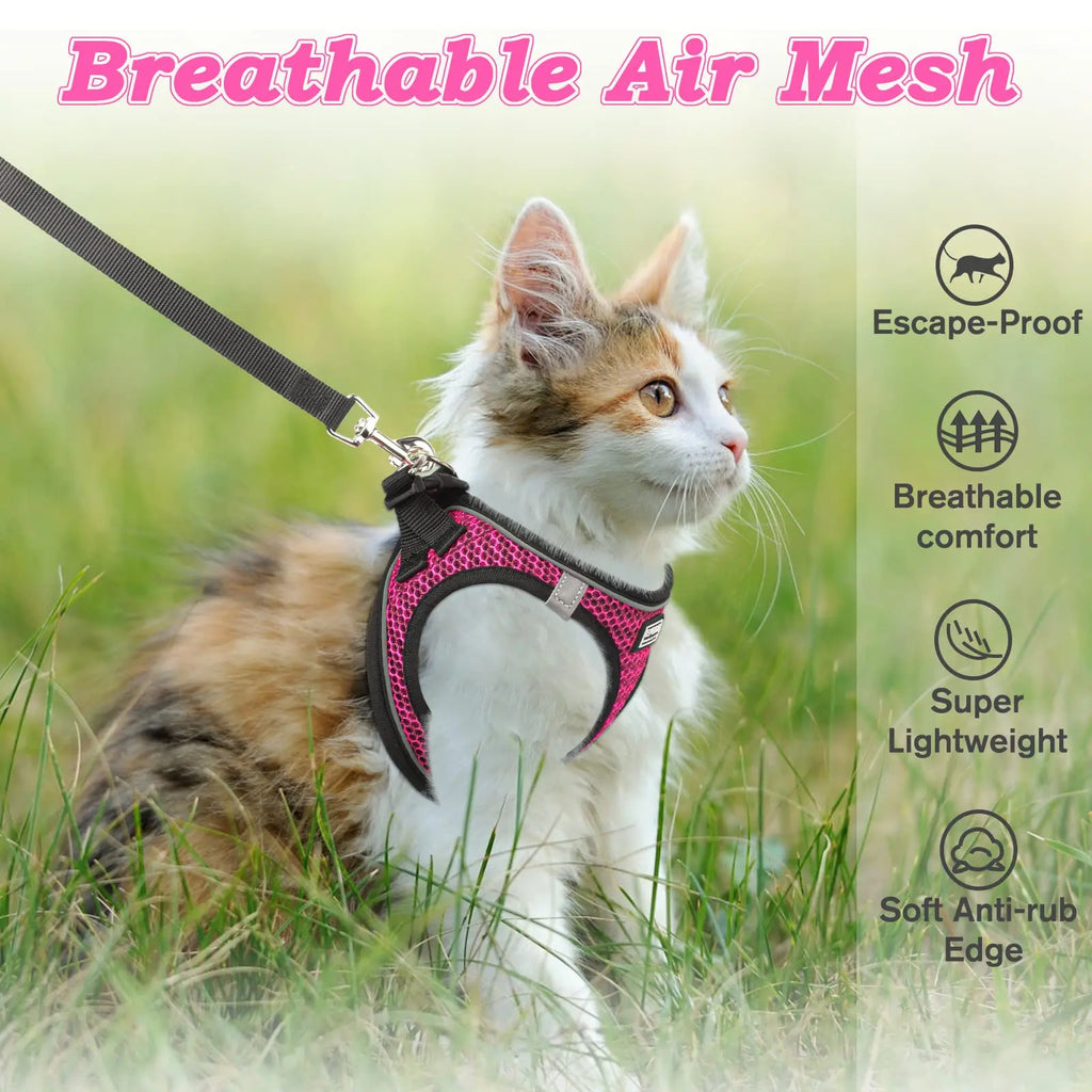 Adjustable Mesh Harness & Lead Set — Breathable Reflective Vest for Small Dogs & Cats