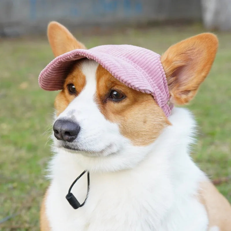 Pet Baseball Cap with Ear Holes | Adjustable Summer Sport Hat for Dogs & Cats
