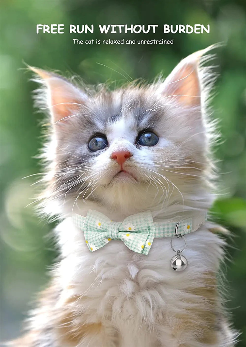 Breakaway Cat Collar with AirTag Holder & Bell