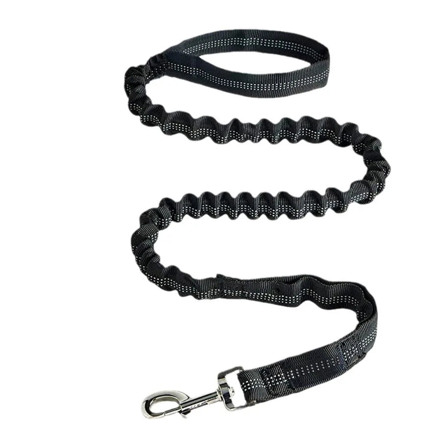 Elastic Shock Absorbing Dog Training Leash