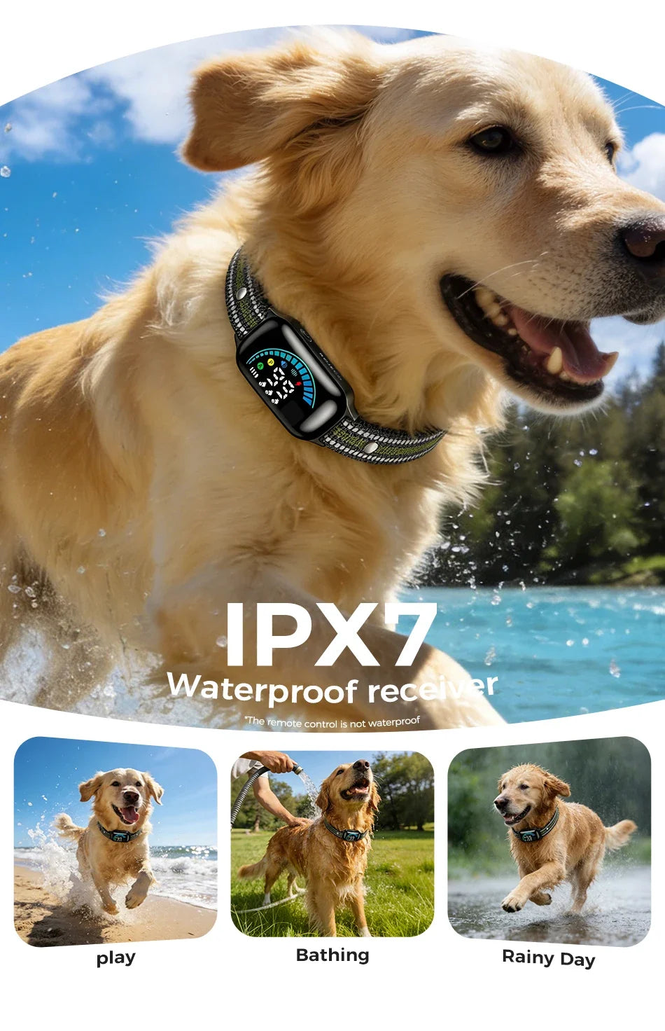 1000m Remote Control Dog Training Collar with Vibration & Bark Stop