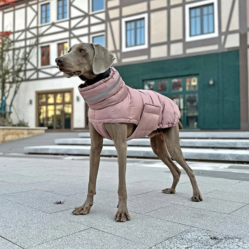 Windproof Winter Down Vest for Small Dogs