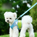 Adjustable Harness & Leash Set for Small Dogs & Cats
