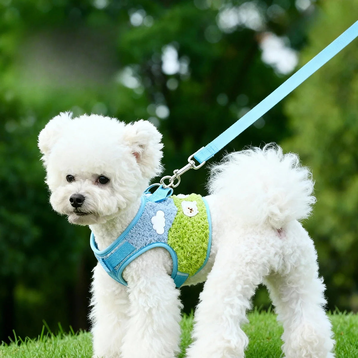 Adjustable Harness & Leash Set for Small Dogs & Cats