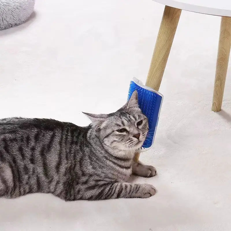 Cat Self-Grooming Wall Corner Brush - Massage & Hair Removal Tool