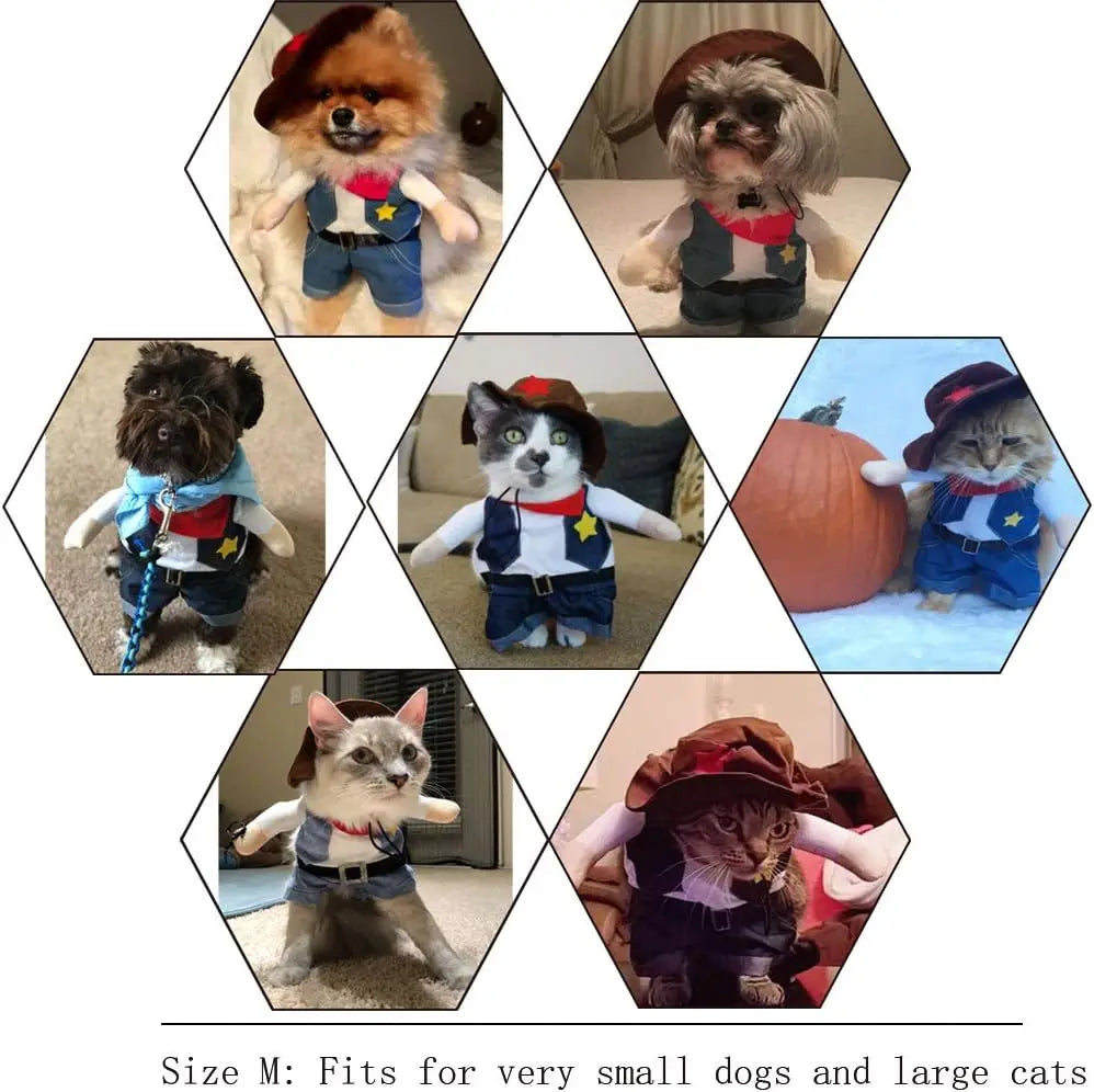 Western Cowboy Pet Costume