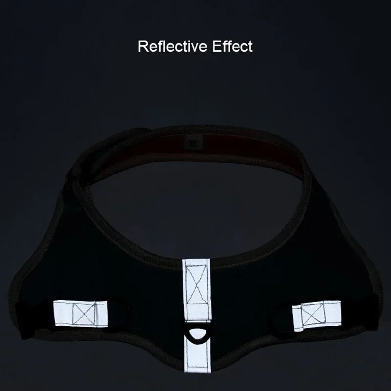 Reflective Dog Harness & Leash Set - Nylon Vest Harness for All Sizes