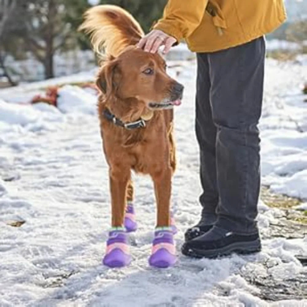 Breathable High-Cut Dog Boots for Hot Pavement & Summer Hiking | Set of 4