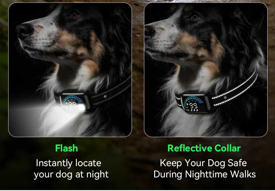 1000m Remote Dog Training Collar with Vibration & Bark Control