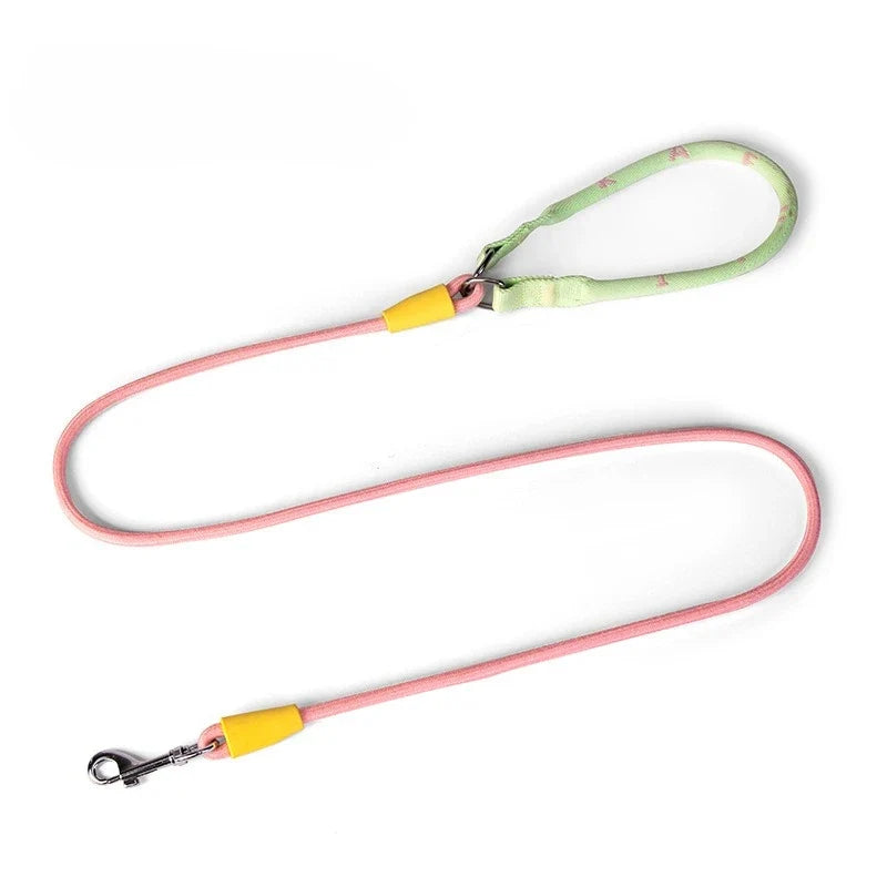 Nylon P-Chain Slip Lead & Collar for Small Dogs
