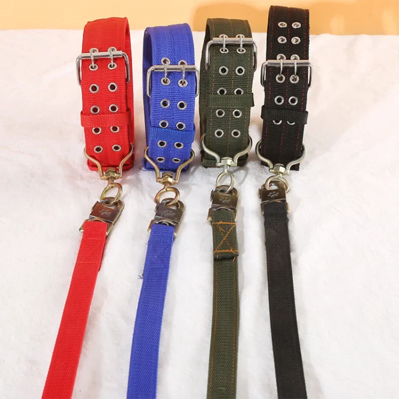Heavy Duty Nylon Dog Leash & Collar Set