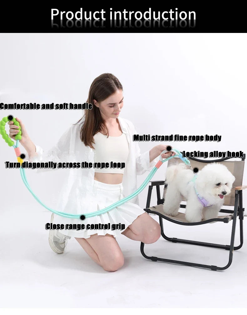 Anti-Slip Nylon Dog Lead — Lightweight & Wear-Resistant