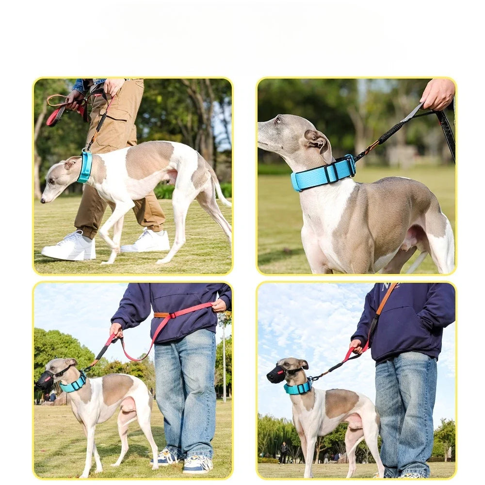 Heavy-Duty Tactical Bungee No-Pull Dog Leash for Large Dogs