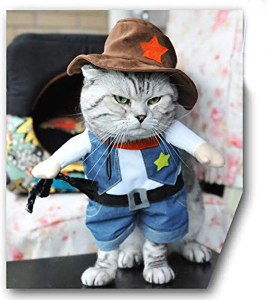 Western Cowboy Pet Costume