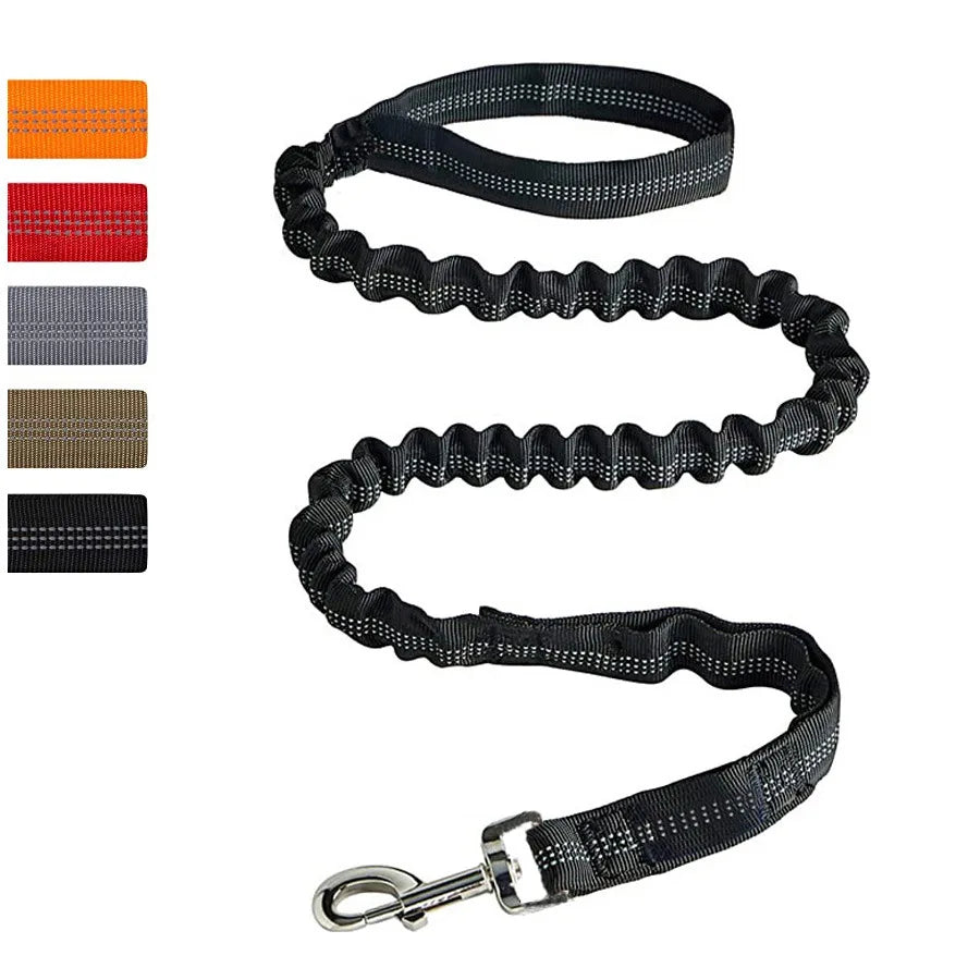 Elastic Shock Absorbing Dog Training Leash