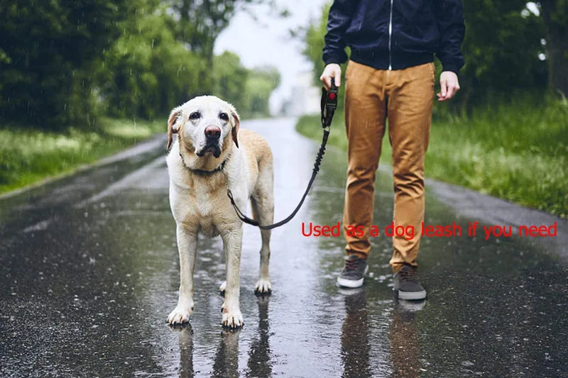Reflective Dog Car Seat Belt and Walking Leash for Small Dogs