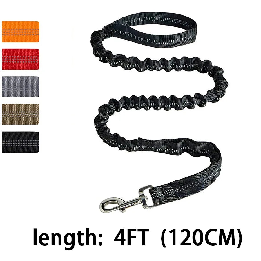 Elastic Shock Absorbing Dog Training Leash