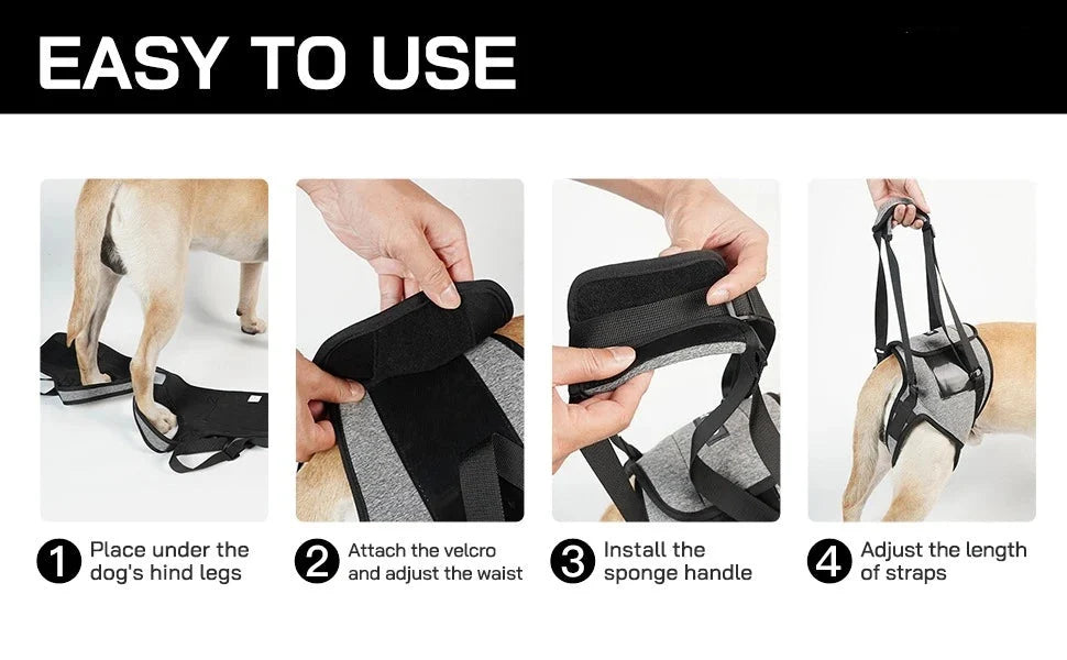 Rear Support Dog Lift Harness for Elderly, Injured & Arthritic Dogs