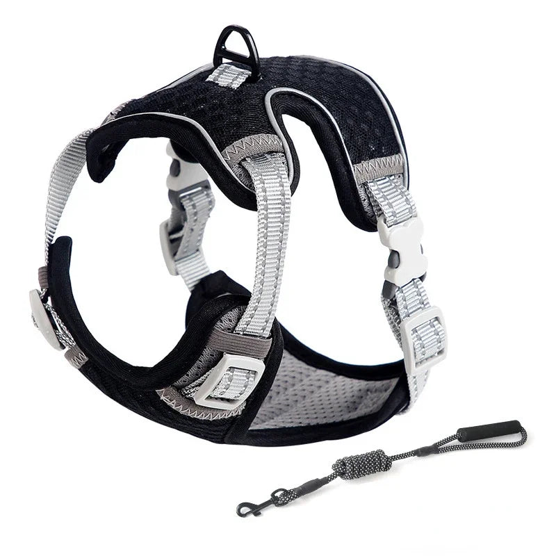 Reflective Cat Harness and Leash Set - Escape Proof, Adjustable Walking Harness
