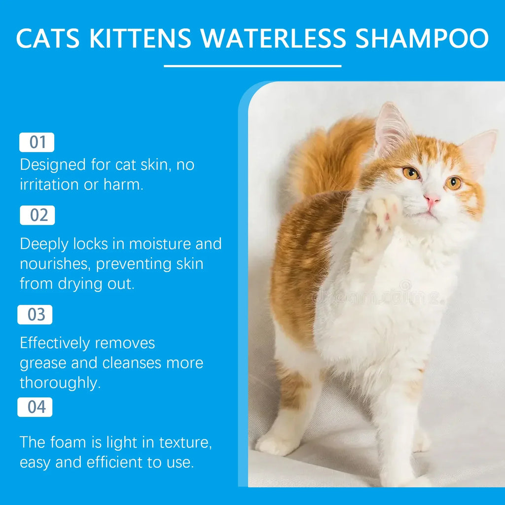 Waterless Cat Shampoo Mousse — Deodorising Foam for Smooth, Fresh-Smelling Fur