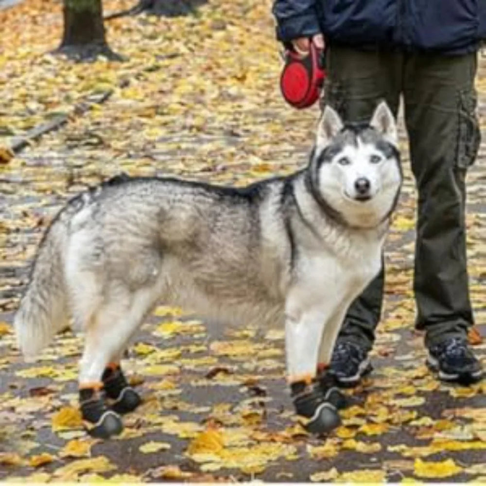 Breathable High-Cut Dog Boots for Hot Pavement & Summer Hiking | Set of 4