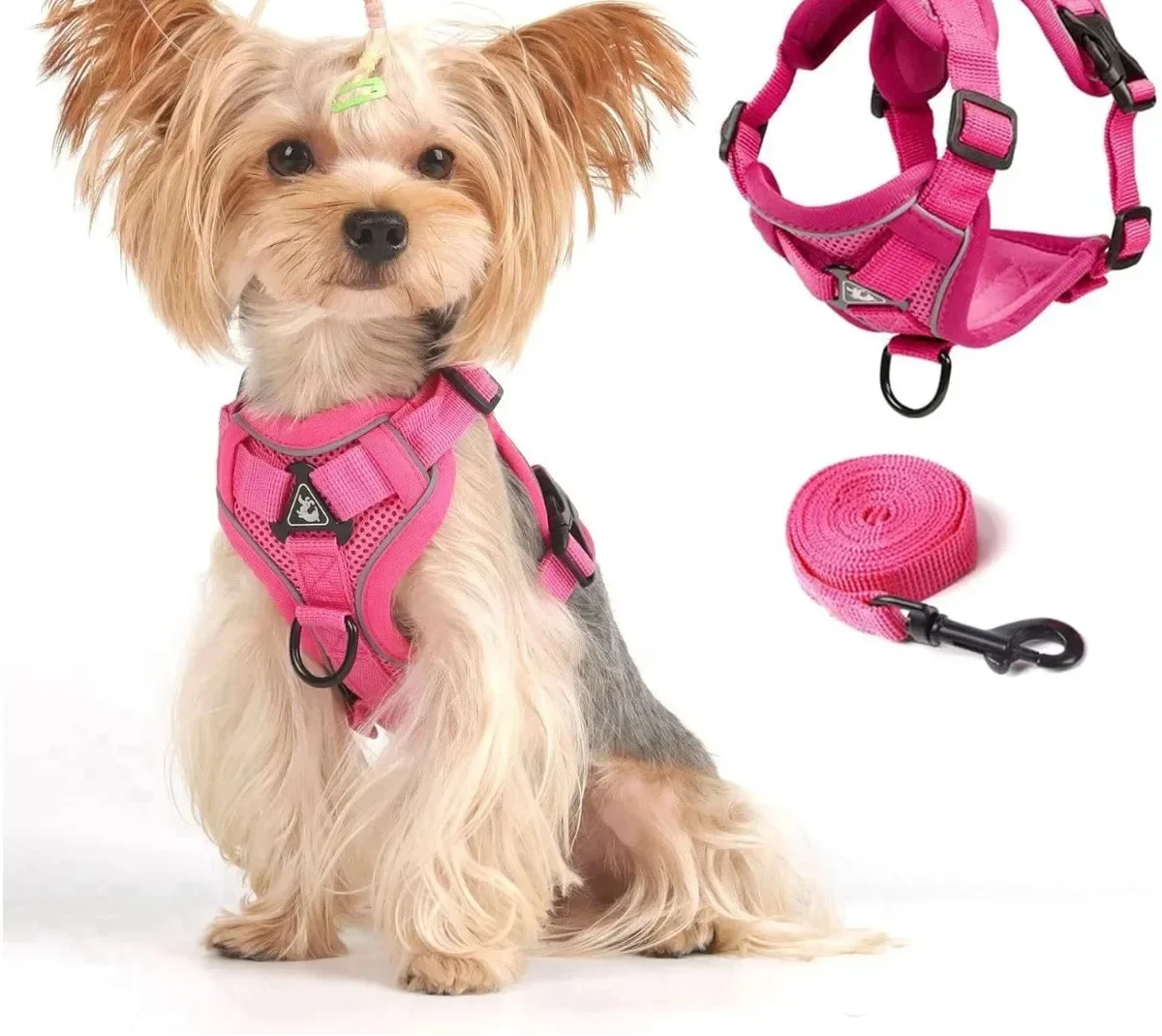 Adjustable Cat Vest Harness and Leash Set - Reflective Trim for All Sizes