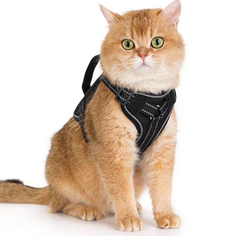 Escape-Proof Tactical Cat Harness — Soft Mesh Vest for Cats & Small Dogs