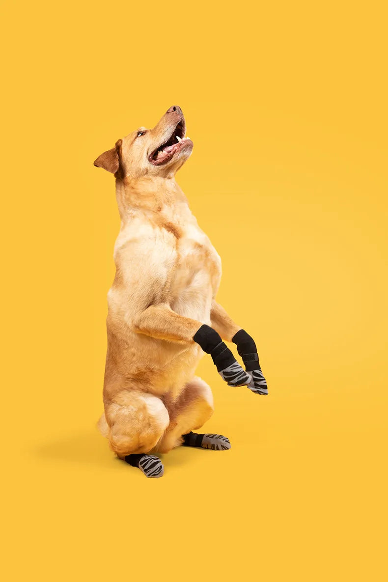 Anti-Slip Knitted Dog Socks with Paw Grip – Pack of 4