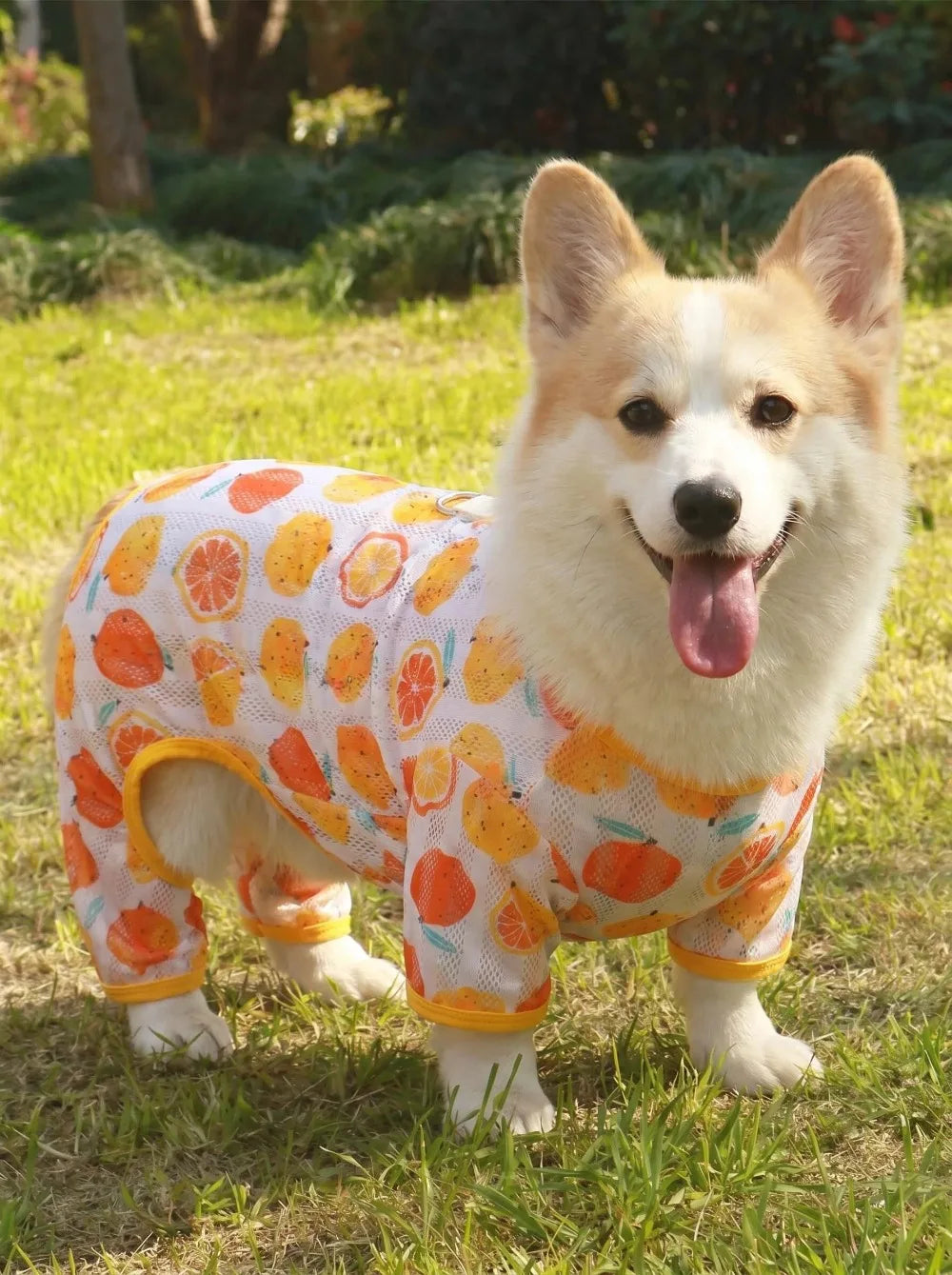 Breathable Mesh Cooling Jumpsuit for Small Dogs & Cats
