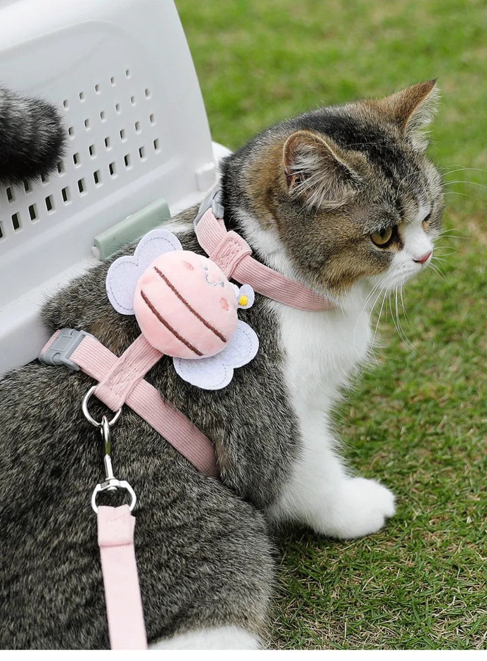 Escape-Proof Soft Mesh Cat Harness & Leash Set | Adjustable Padded Vest for Kittens, Small, Medium & Large Cats