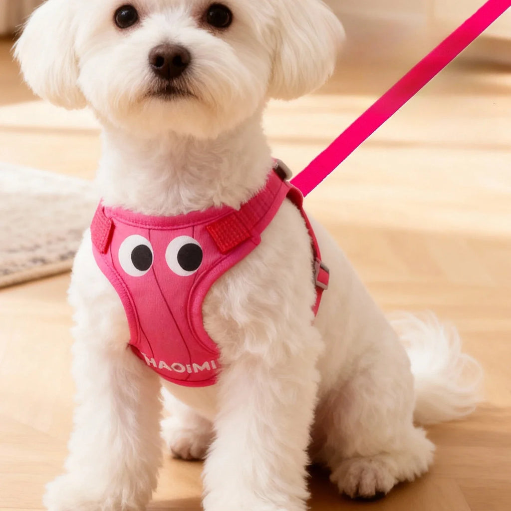 Breathable Reflective Dog Harness & Leash Set for Small Dogs