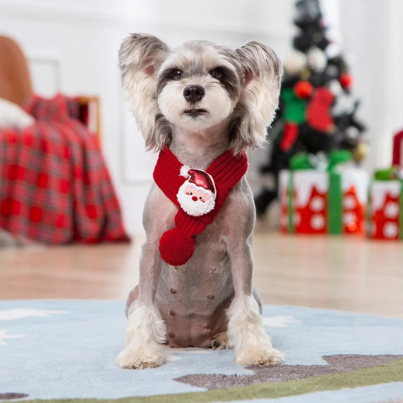 Christmas Pet Sweater, Hoodie & Scarf — Festive Warm Clothes for Dogs & Cats