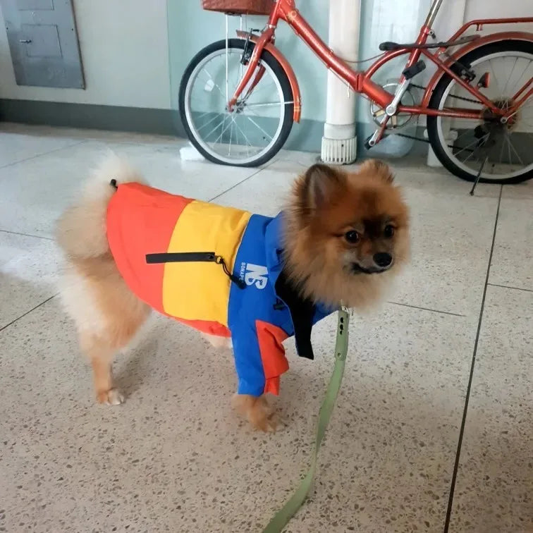 Waterproof Hooded Dog Raincoat & Sport Hoodie