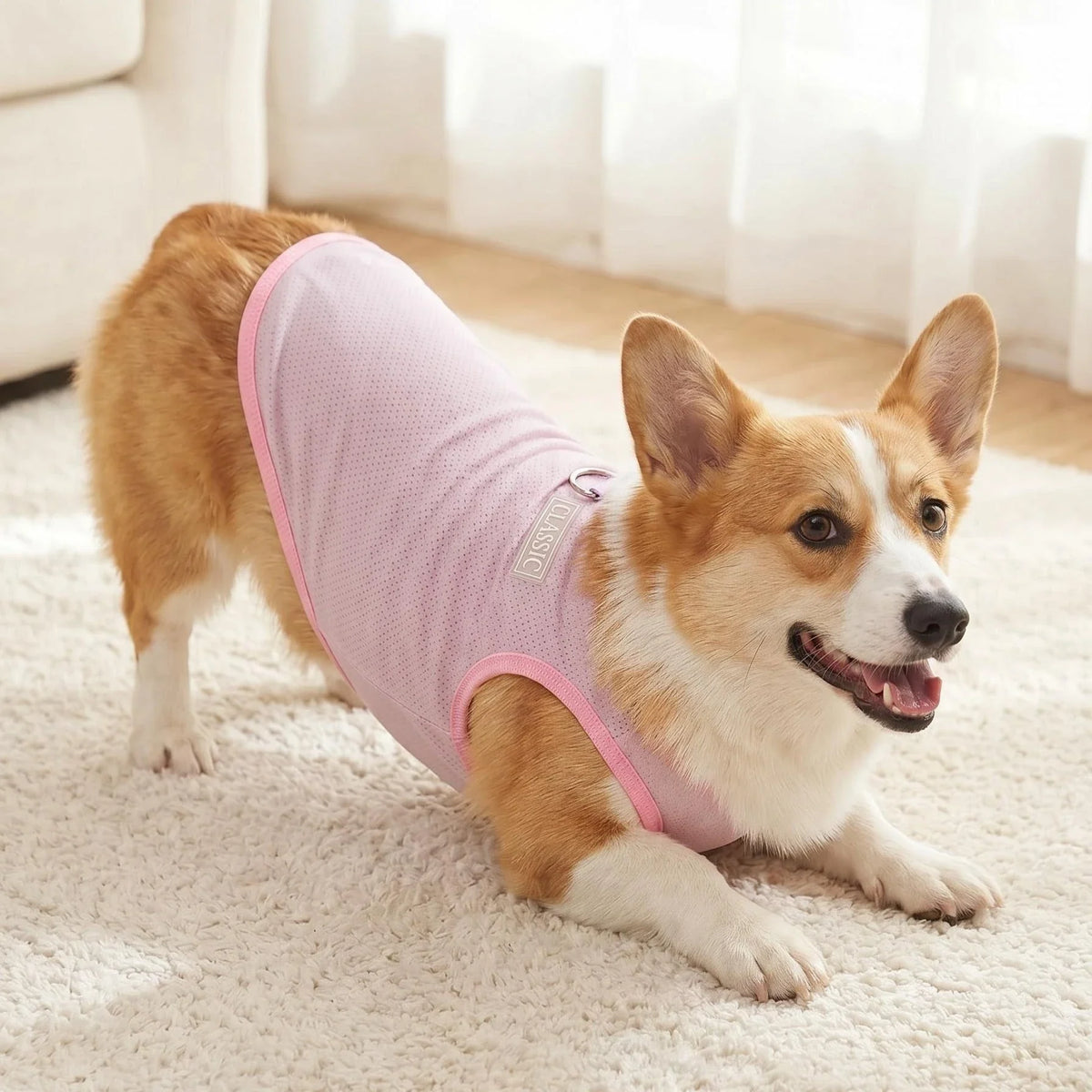 Breathable Mesh Cooling Vest with D-Ring for Small Dogs