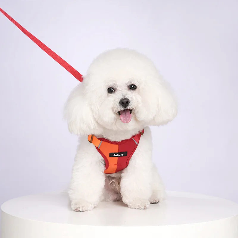 Reflective Adjustable Harness & Leash Set for Small & Medium Dogs & Cats