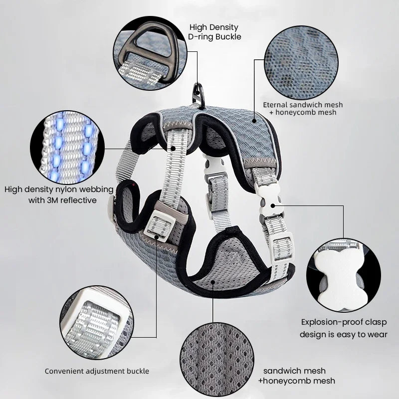 Reflective Cat Harness and Leash Set - Escape Proof, Adjustable Walking Harness