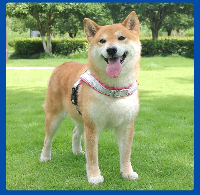 Saddle-Style Padded Dog Harness Vest