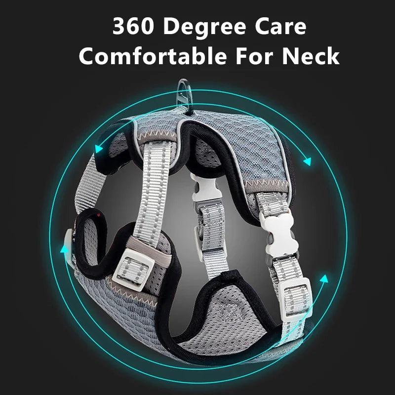Reflective Cat Harness and Leash Set - Escape Proof, Adjustable Walking Harness