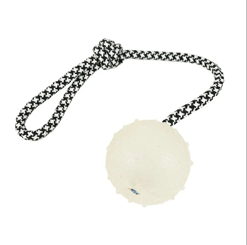 Reflective Bouncing Ball Dog Toy