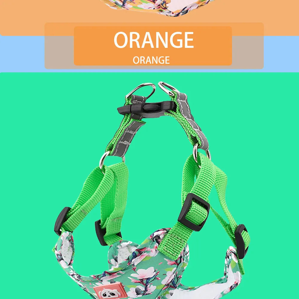 Adjustable Dog Harness & Leash Set with Reflective Strips