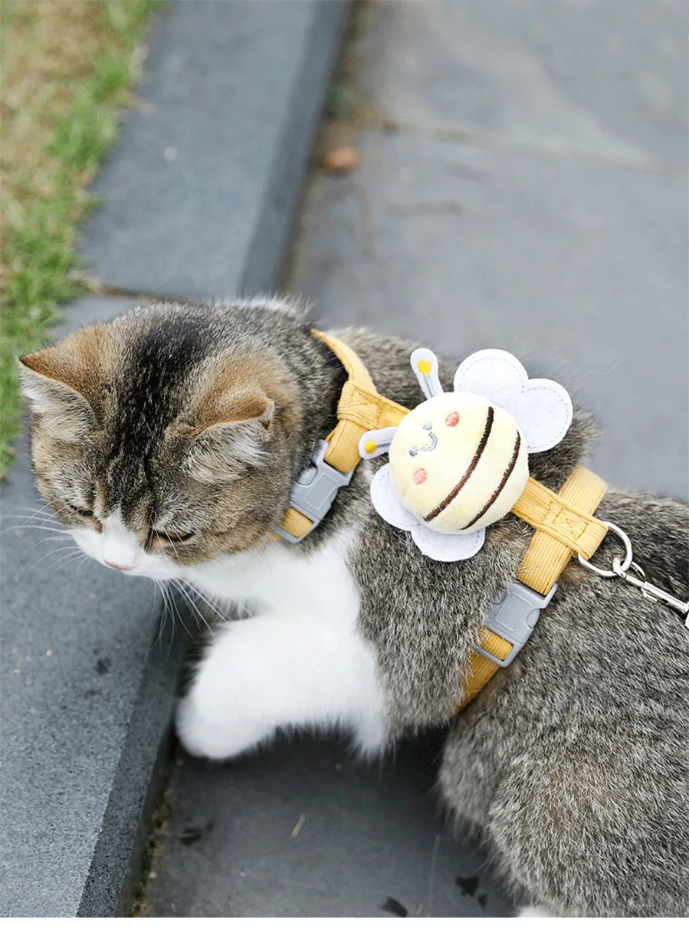 Escape-Proof Soft Mesh Cat Harness & Leash Set | Adjustable Padded Vest for Kittens, Small, Medium & Large Cats